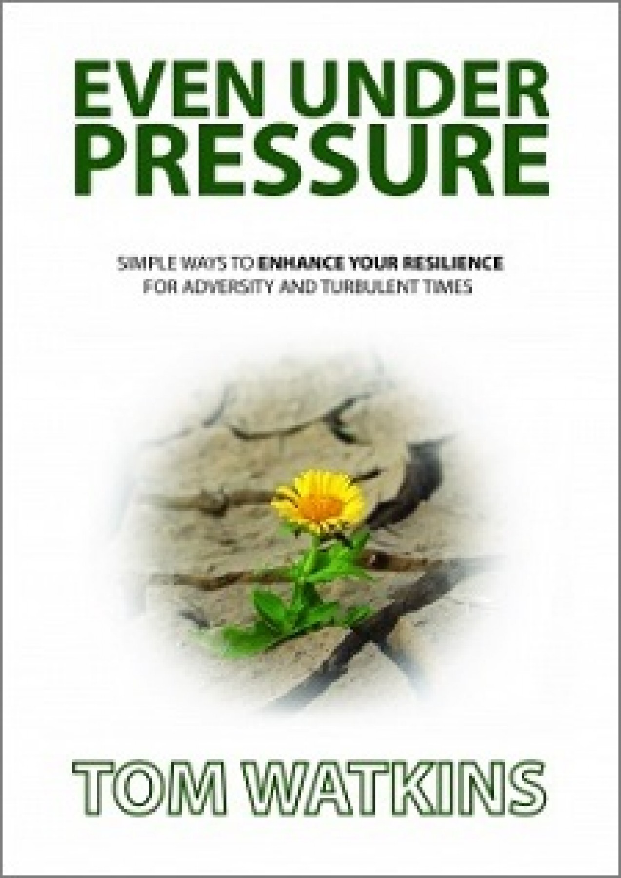Even under pressure: Simple ways to enhance your resilience for adversity and turbulent times
