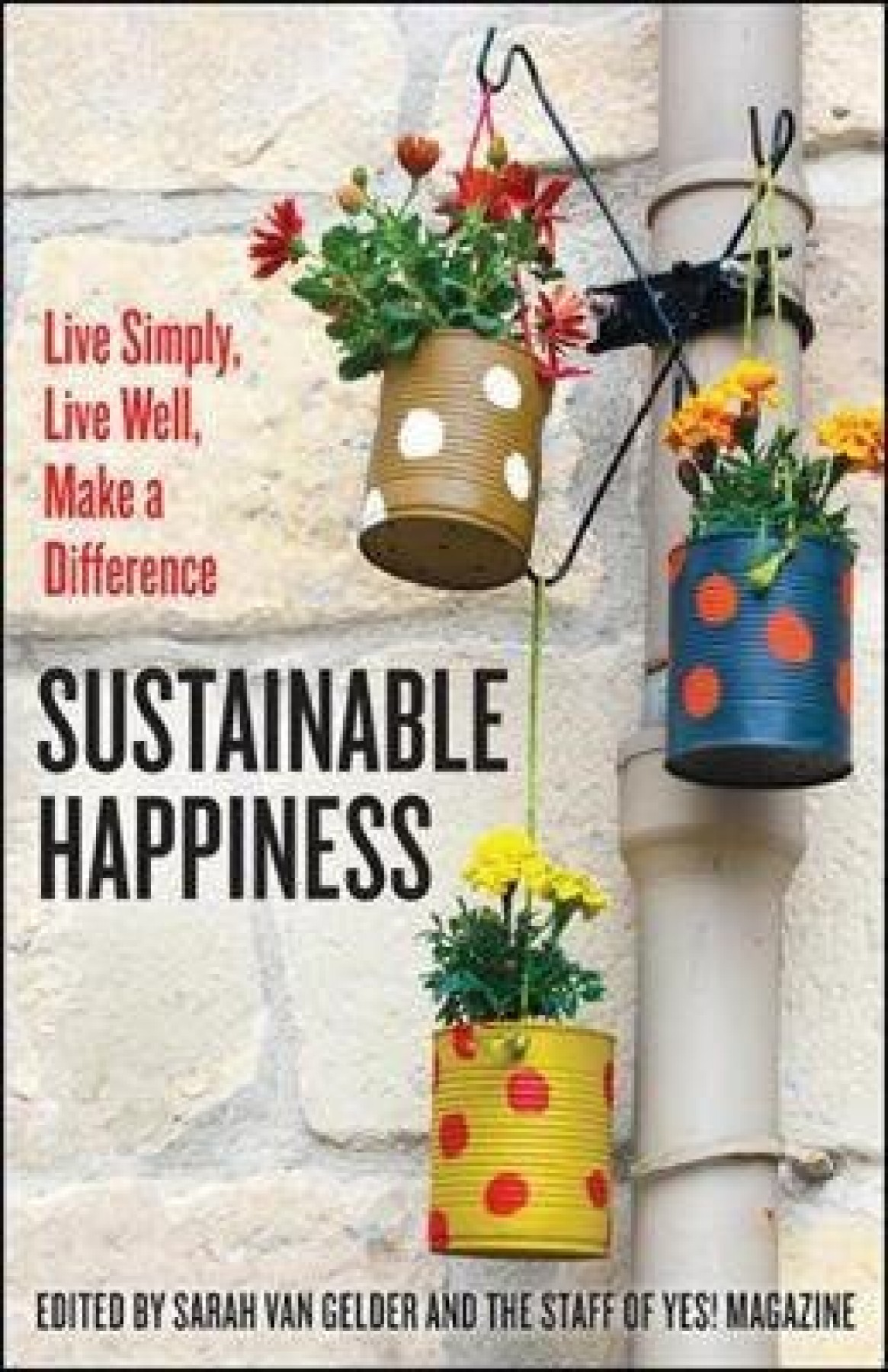 Sustainable happiness: Live simply, live well, make a difference